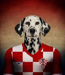 The Mighty Pups Of The World Cup Dogs Sporting Dogs World Cup Teams