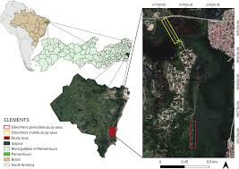 Image result for Ascolepis trigona