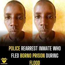 Police rescue abducted children in Mubi