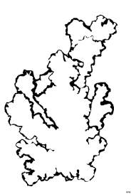 Korallen tiere malvorlagen tiere korallen und tiere. Koralle Schematisch Ausmalbild Malvorlage Tiere