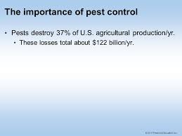 A scheme for managing plants expressing insect control proteins that will provide economically important control of the pest and insure that the target insect. Chapter 13 Pests And Pest Control Ppt Video Online Download