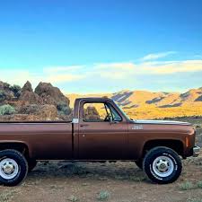 Image result for Brown 1979 GMC