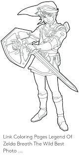Select from 35723 printable crafts of cartoons, nature, animals, bible and many more. O Link Coloring Pages Legend Of Zelda Breath The Wild Best Photo Best Meme On Me Me