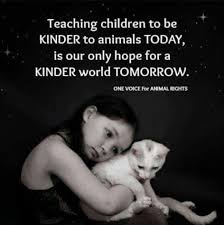 Teach Children To Be Kind To Animals Animal Quotes Animal Rights Animal Advocacy