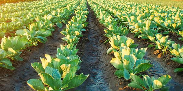Demand Based Sourcing