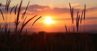  Foto Pemandangan Senja Gambar Viral Hd Stunning Natural Scenery At Dusk Pemandangan Alam Yang Keindahan Alam Saat Senja 03 Sunset Nature Sky Images Sunset