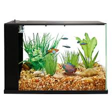 Top Fin Indulge Trade 3 Gallon Aquarium Fish Aquariums Petsmart