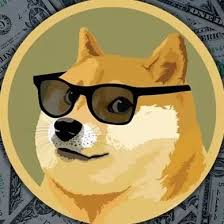 We're taking dogecoin to the moon! Dogecoin Coach On Twitter Our Dogecoin Is Fighting Like The Champion It Is Rt If Your Holding And Here For The Long Fight To The Moon