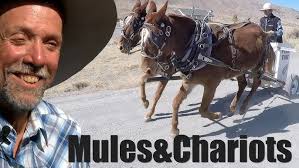 Ralph Atkinson: Chariot Rider