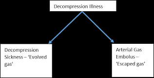 Image result for Decompression Sickness