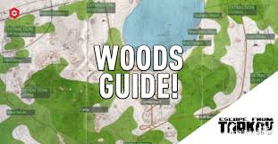 Escape From Tarkov Woods Extraction Points