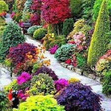 Sommerbepflanzung Bunt Pflanzen Blumen Baume Gartenweg Blumenbeet Beet Garten Gartengestaltung Beautiful Gardens Garden Inspiration Garden Design
