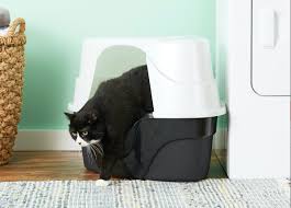 Additionally, this item incorporates a carbon filter to cut down on litter box smells to keep your home nice and fresh. Covered Cat Litter Box The Scoop On The Best Covered Cat Litter Boxes