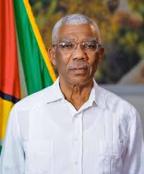 Guyana Premier