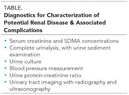 Early Diagnosis Of Chronic Kidney Disease In Dogs Cats