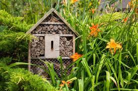 The original butterfly house was made of mahogany scraps that were headed for the landfill. 5 Best Insect Hotels For Bees Butterflies More Horticulture