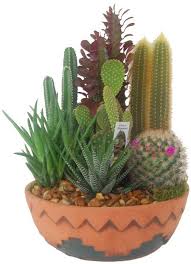 Make a cactus dish garden. Small Cactus Garden 6 Earth Tone Colored Ceramic Etsy Mini Cactus Garden Cactus Terrarium Cactus Garden