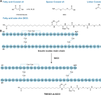 Design of a novel long-acting insulin analogs by acetylation ...