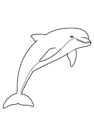 30 Disegni Di Delfini Da Colorare Delfini Delfino Arte Disegni