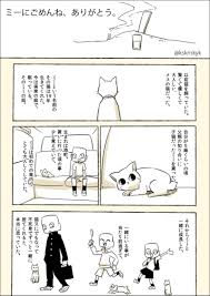 ミー にごめんね ありがとう 飼い猫の生涯を描いたマンガが涙を誘う マンガ ごめんね 感動 漫画