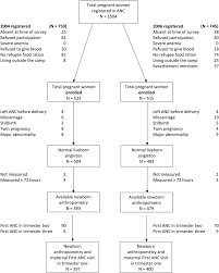 Study Flowchart Anc Antenatal Clinic Download