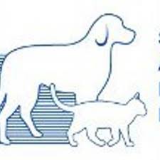 Maybe you would like to learn more about one of these? Salem Animal Rescue Sarlnh Twitter