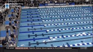 American diver mary ellen clark competes to finish in third place to. Ncaa Women S Swimming Diving Championships Highlights 3 16 18 Gif Gfycat