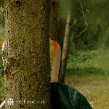 Schitts Creek Comedy Gif By Cbc Find Share On Giphy Browse latest funny, amazing,cool, lol, cute,reaction gifs and animated pictures! schitts creek comedy gif by cbc find