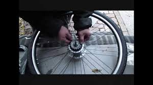 Shimano Nexus 8 Gang Nabenschaltung Schalteinheit Zahnkranz Erneuern Youtube