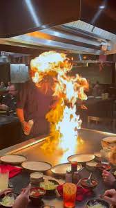 images?q=tbn:ANd9GcTdwT7HqgtnMDbLlp_WTS8