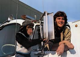 You'll also be the first to know when they release new music and merch. A Brief History Of Trucker Chic Travalanche