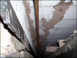 Although eastern subterranean termites are the most numerous and damaging termites in the us, you will never find a subterranean termite nest within a home. How Termites Get In Your House Ways Termites Get In Your Home