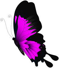 Pink Flying Butterfly Png Clip Art Gallery Yopriceville High Butterfly Art Drawing Clip Art Butterfly Clip Art