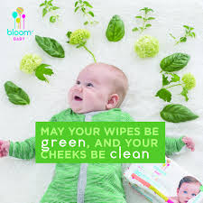 Diapering Free Shipping Bloom Baby Sensitive Skin Unscented Hypoallergenic Baby Wipes Baby