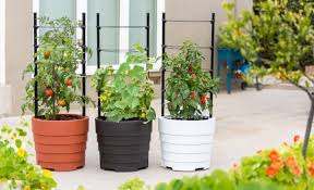 Some produce smaller plants ideal for containers or. Small Vegetable Garden Ideas Gardener S Supply