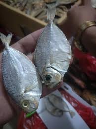 Ginataang sapsap is simply butterfish and fresh spinach cooked in coconut milk. Sapsap Big 220 Sapsap Medium Kobe S Dried Fish Supplier Facebook