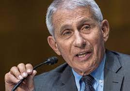 This twitter is purely for entertainment & stanning purposes. If Anybody Is Lying Here Senator It Is You Dr Anthony Fauci Sen Rand Paul Clash On Virus Origins Trade Charges Of Lying Pittsburgh Post Gazette