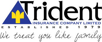 Check spelling or type a new query. Download Hd Trident Insurance Company Limited University Of Arizona Police Department Logo Transparent Png Image Nicepng Com