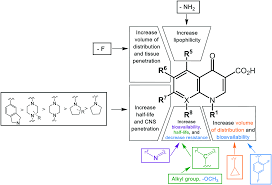 Quinolone Antibiotics Medchemcomm Rsc Publishing