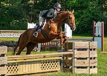 August Hunter Jumper Show