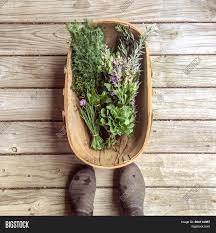 Bigstock