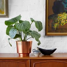 Enchanted talavera ceramic large utensil holder utensil crock kitchen organizer mexican pottery spoon rest (multi color large (7.5h x 6w) 4.9 out of 5 stars 303 $49.00 $ 49. Mid Century Planters On Amazon Prime Popsugar Home