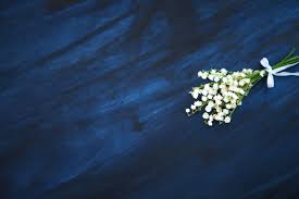 Faites livrer un joli bouquet de muguet le 1er mai à vos proches. Fleurs De Muguet Imagenes Y Fotos 123rf