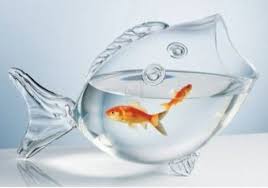 Automatically applied at checkout details. Unique Fish Tanks Aquariums And Bowls Glass Fish Bowl Fish Bowl Fish Shapes
