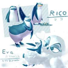 We did not find results for: Madagascar Rico Tumblr Blog Tumgir
