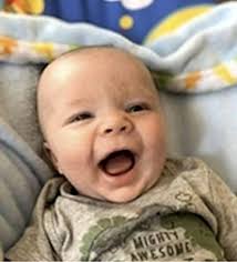 The Linn County News