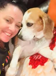 Cindy Loo and I new to this group so I thought it might be nice to share a  couple of photos of my beautiful girl 🥰 Cindy Loo is 17 yrs young