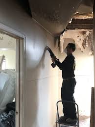 Hold a scrap of cardboard underneath the damaged area to catch the falling flakes. Water Damage From The Upstairs Condo 6 Steps To Recovery