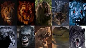 Take the nationally accredited certificate ii in animal studies and start your career as a pet groomer or animal attendant in animal shelter or veterinary clinic. Defeats Of My Favorite Animals Killers Villains Part Ii Youtube