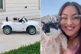 The Dogist Releases New Book Filled with Stories of His Favorite Dogs  (Exclusive)